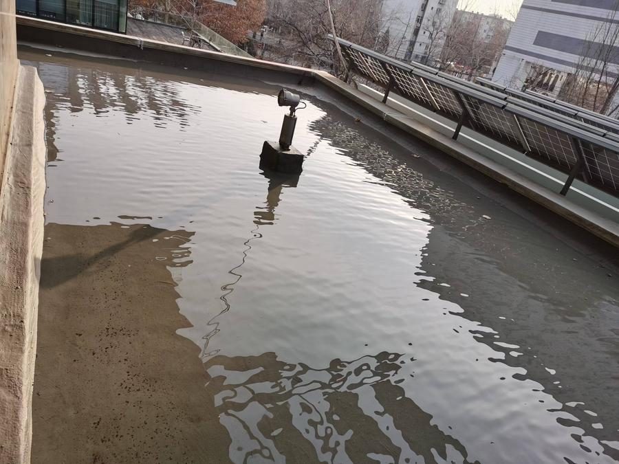现场图 3